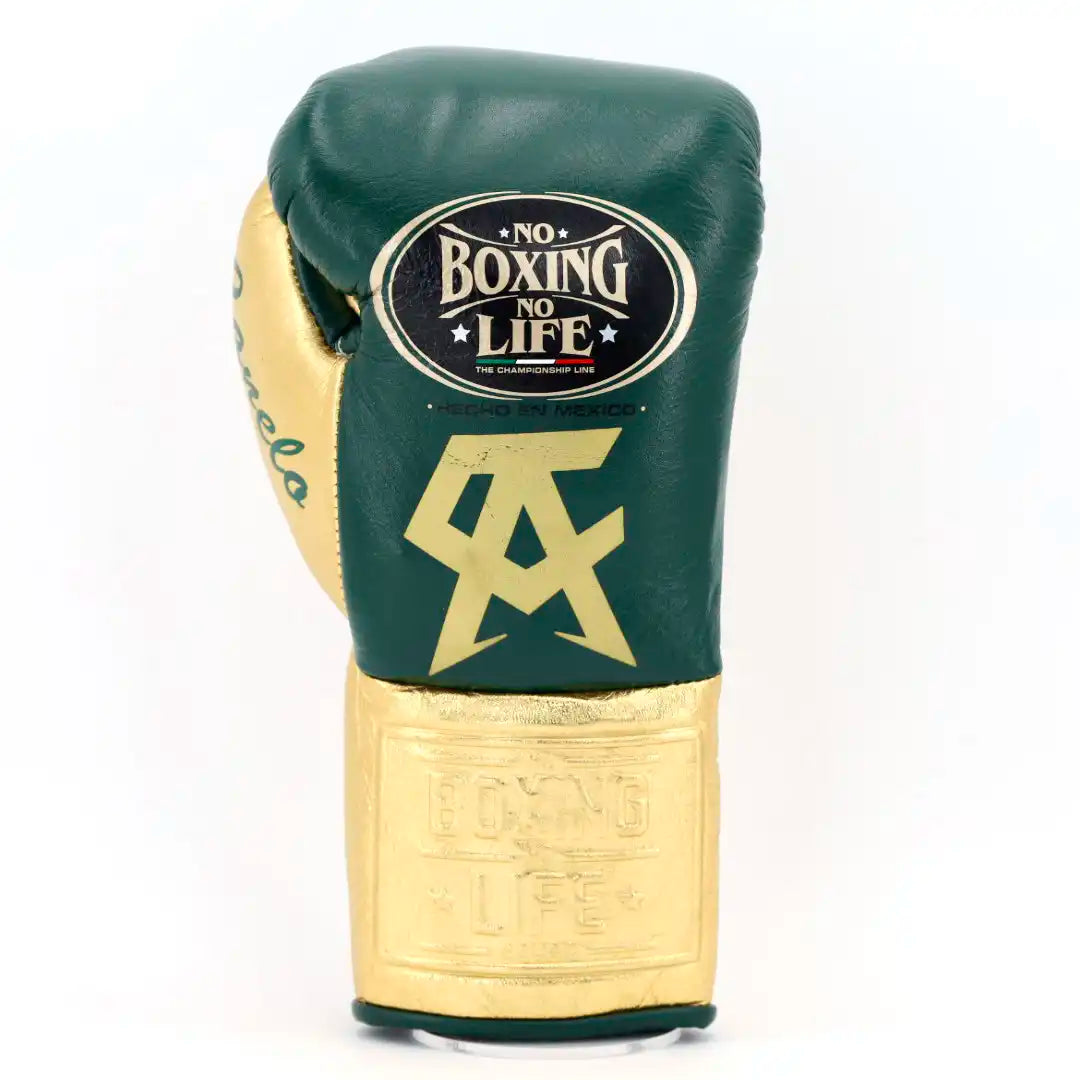 No Boxing No Life Pro Fight Gloves - Hunter Green / Metallic Gold - CA
