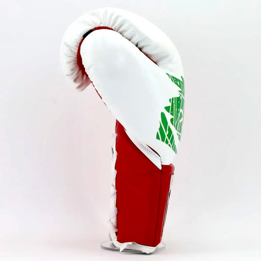 Cleto Reyes Pro Fight Gloves - Mexico